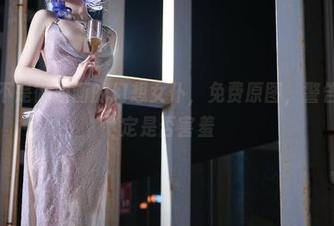 大梨子不是御姐画的幻想女仆，免费原图，警告：不确定是否害羞