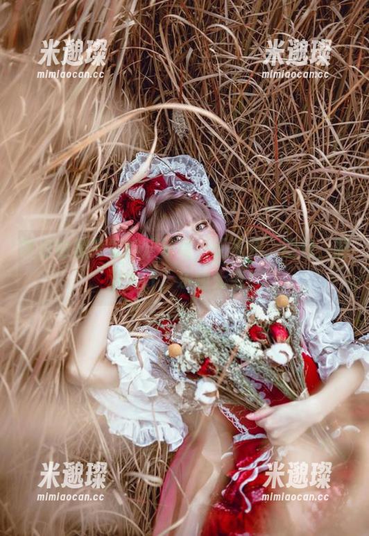 阿包也是兔娘的双马尾，无圣光、图包，脑洞大开，乐趣无穷！